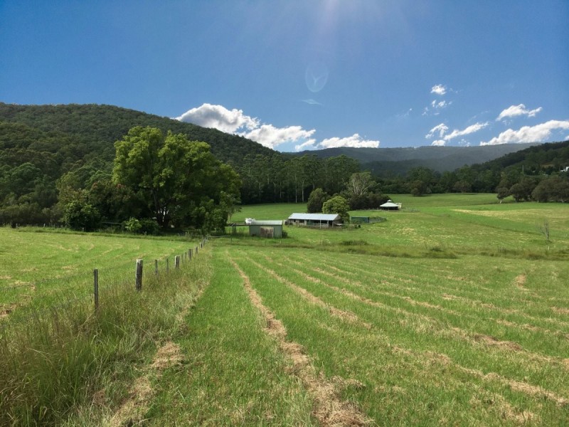 12 Glenola Farm Lane, Yarramalong NSW 2259