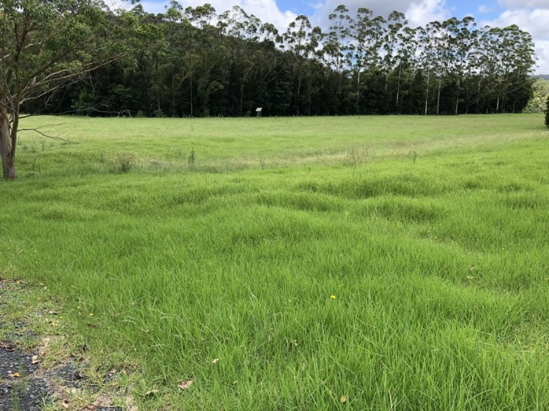 12 Glenola Farm Lane, Yarramalong NSW 2259