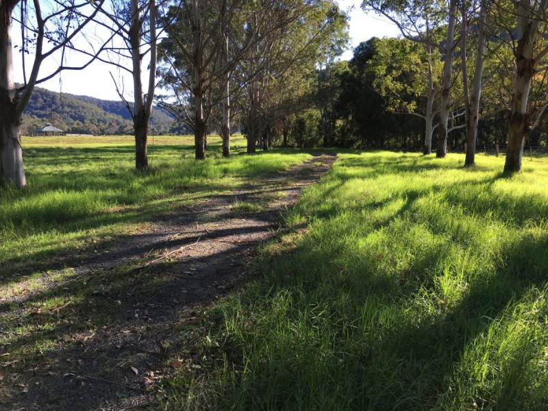 12 Glenola Farm Lane, Yarramalong NSW 2259