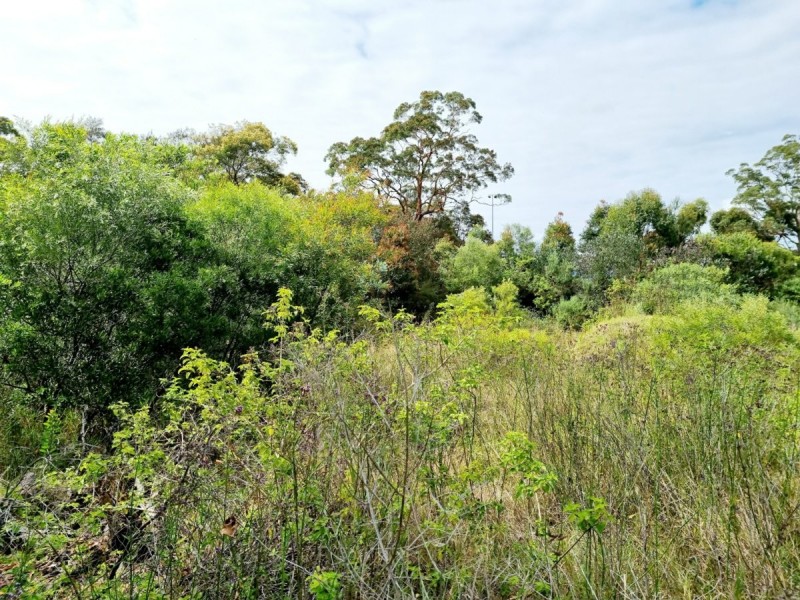 15 Somersby Falls Road, Somersby NSW 2250