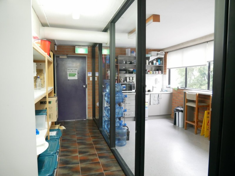 29 Hely Street, Wyong NSW 2259