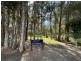 Unit 6/60 Cams Boulevarde, Summerland Point NSW 2259
