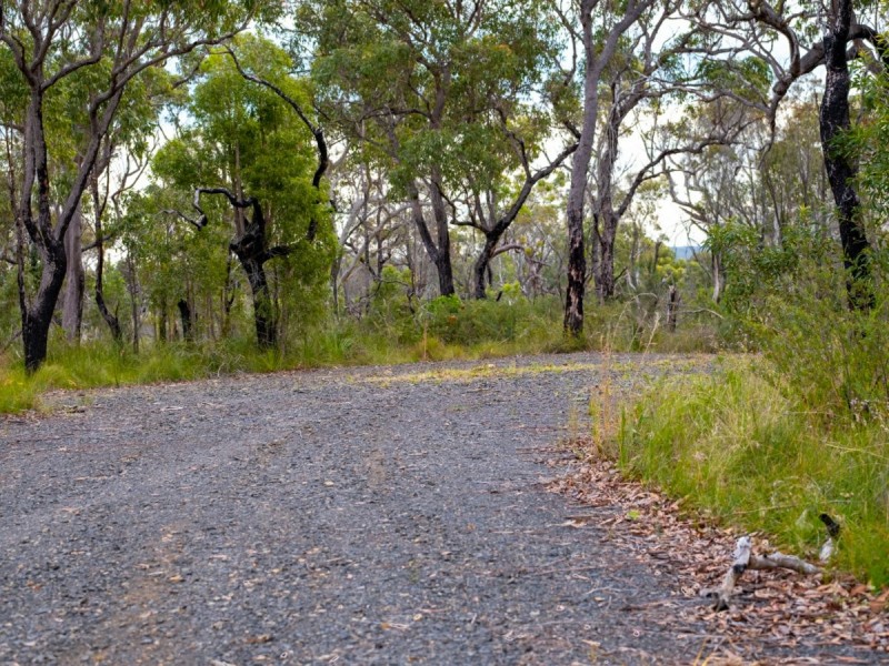 435 Bushells Ridge Road, Bushells Ridge NSW 2259