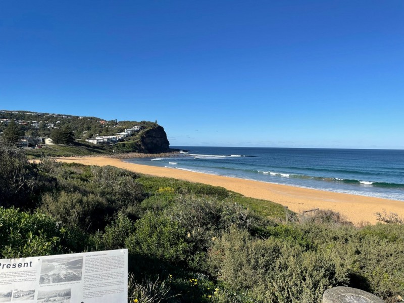 206 Del Monte Place, Copacabana NSW 2251