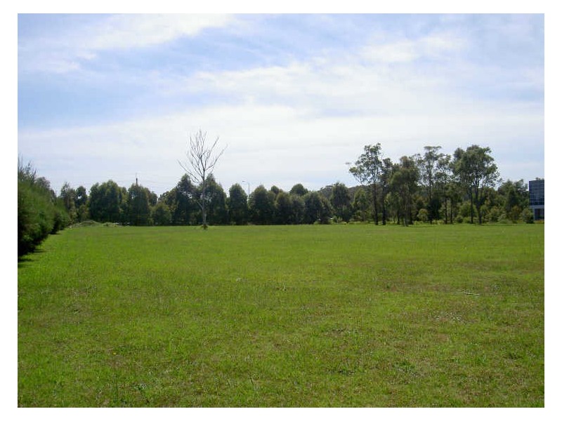 Lot 204 Pioneer Avenue, Tuggerah NSW 2259