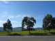 Tuggerah NSW 2259