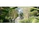 Wamberal NSW 2260