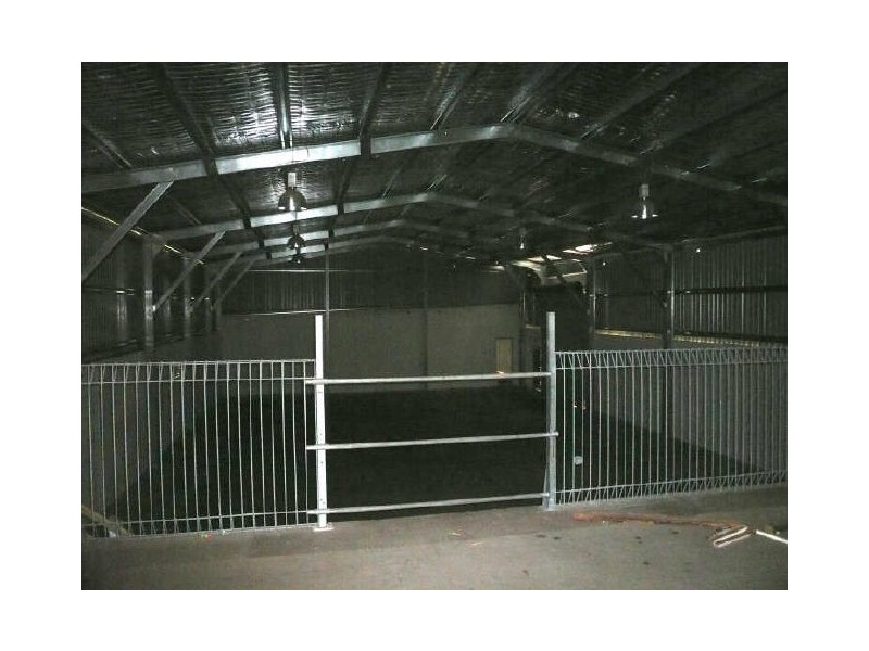 West Gosford NSW 2250