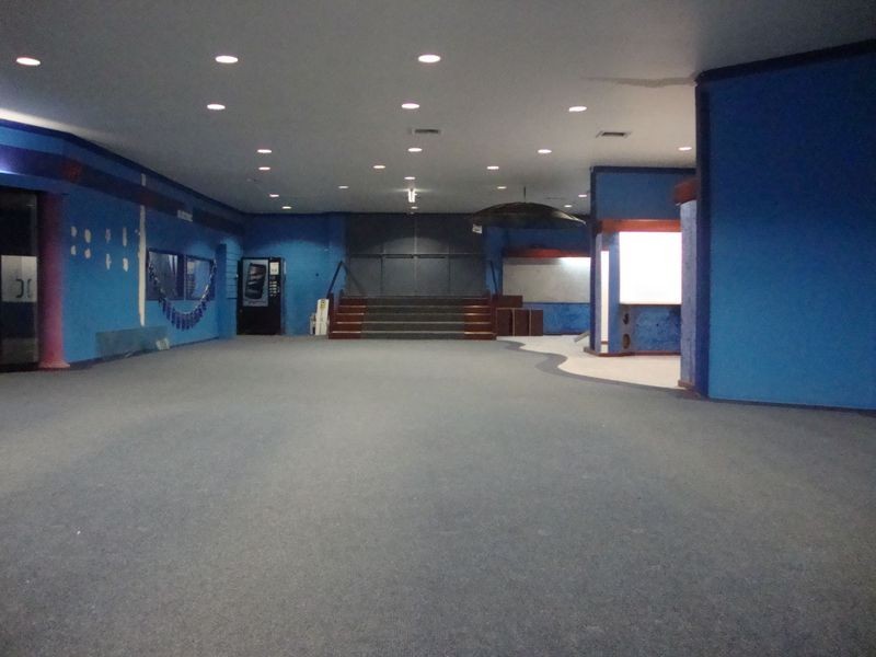 For Lease/55 Howarth Street, Wyong NSW 2259