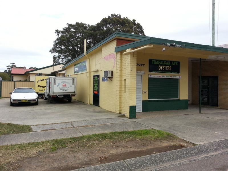 63 Trafalgar Avenue, Woy Woy NSW 2256