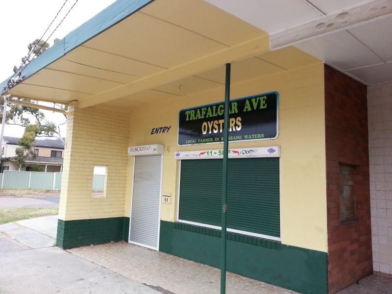 63 Trafalgar Avenue, Woy Woy NSW 2256