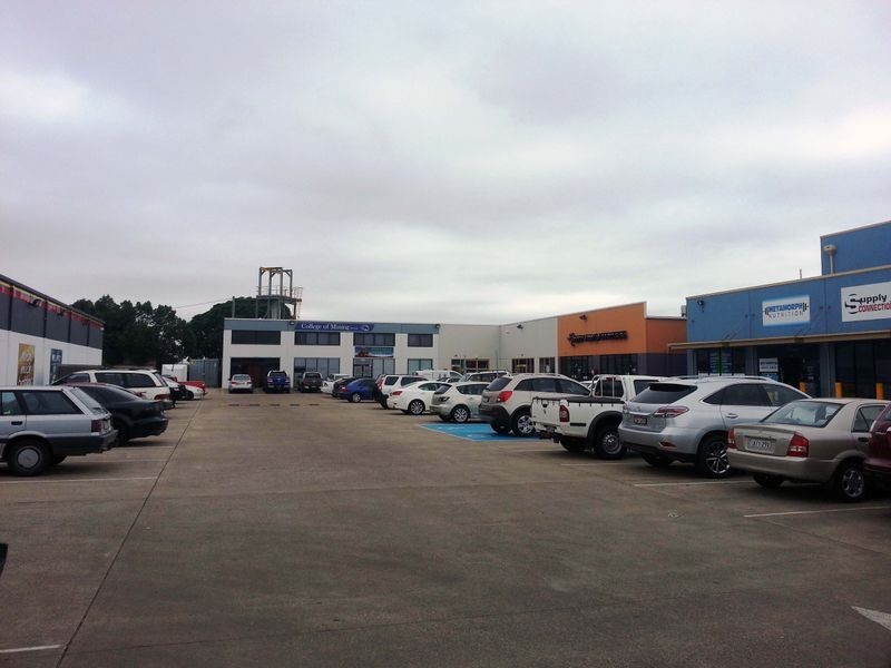 5 & 6 / 21 Ryan Avenue, Singleton NSW 2330