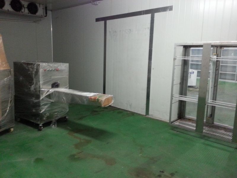 1 & 2/12 Jusfrute Drive, West Gosford NSW 2250