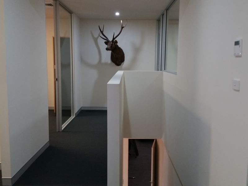 10/13 Gibbens Road, West Gosford NSW 2250