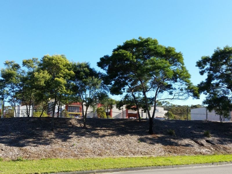 64 Somersby Falls Road, Somersby NSW 2250