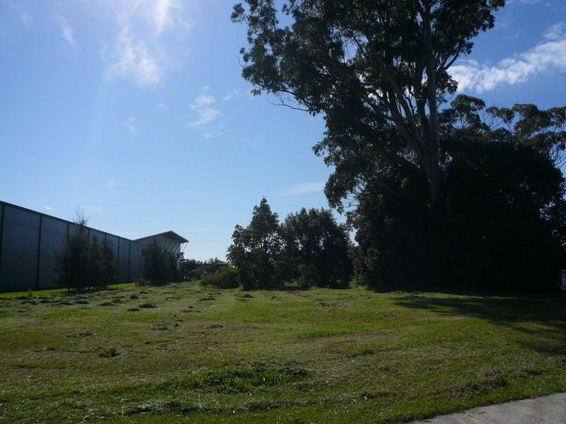 Lot 305 Reliance Drive, Tuggerah NSW 2259