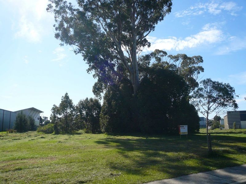 Lot 305 Reliance Drive, Tuggerah NSW 2259