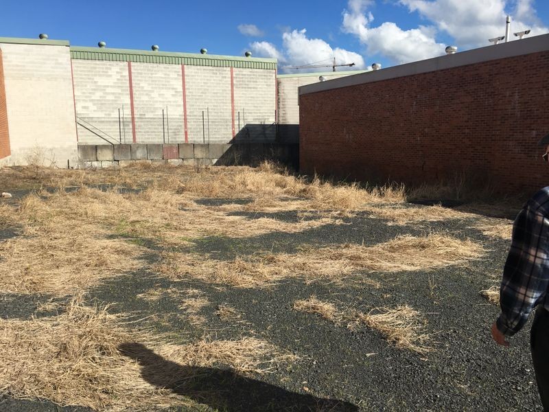 35 Dwyer Street, North Gosford NSW 2250