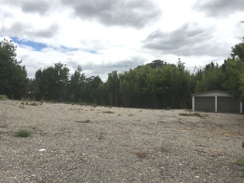 19 Cary Street, Wyoming NSW 2250