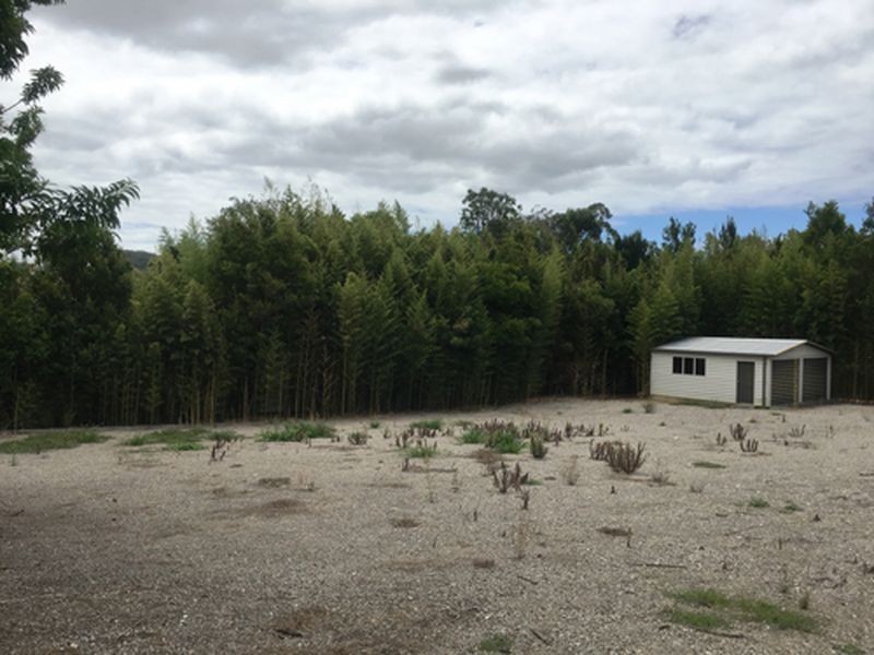 19 Cary Street, Wyoming NSW 2250