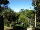 31 Tara Downs, Lennox Head NSW 2478