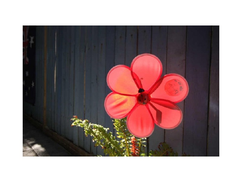 COOL BREEZE KITES Ballina Street, Lennox Head NSW 2478