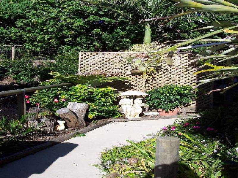 20B PINNACLE ROW, Lennox Head NSW 2478