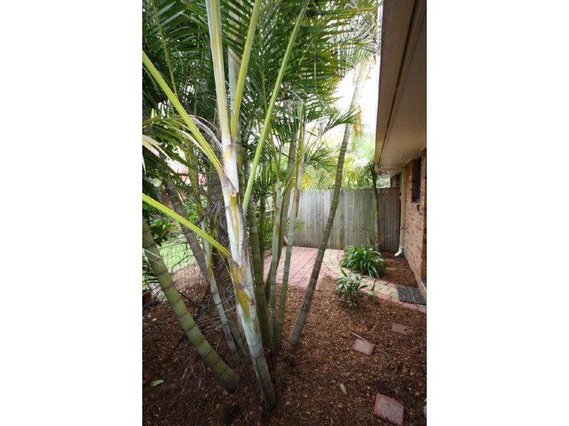1/28 Gibbon Street, Lennox Head NSW 2478