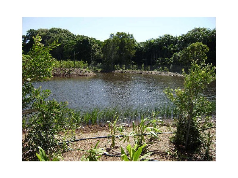 8 The Ridgeway, Ballina NSW 2478