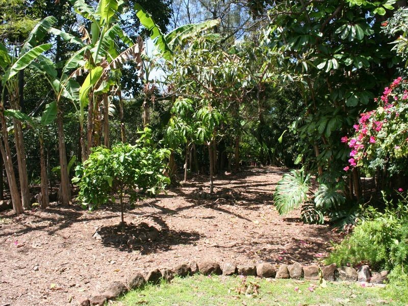 19 Belongil Crescent, Byron Bay NSW 2481