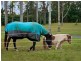 334 Ross Lane, Tintenbar NSW 2478