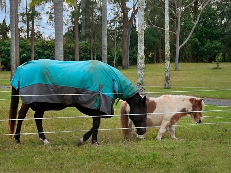 334 Ross Lane, Tintenbar NSW 2478
