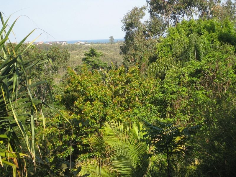 31 Tara Downs, Lennox Head NSW 2478