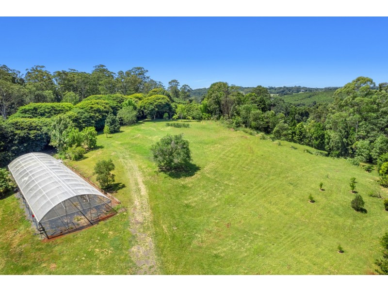 407 Humpty Back Road, Pearces Creek NSW 2477