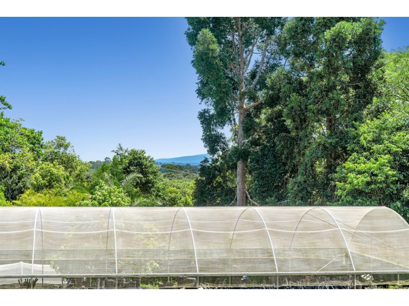 407 Humpty Back Road, Pearces Creek NSW 2477