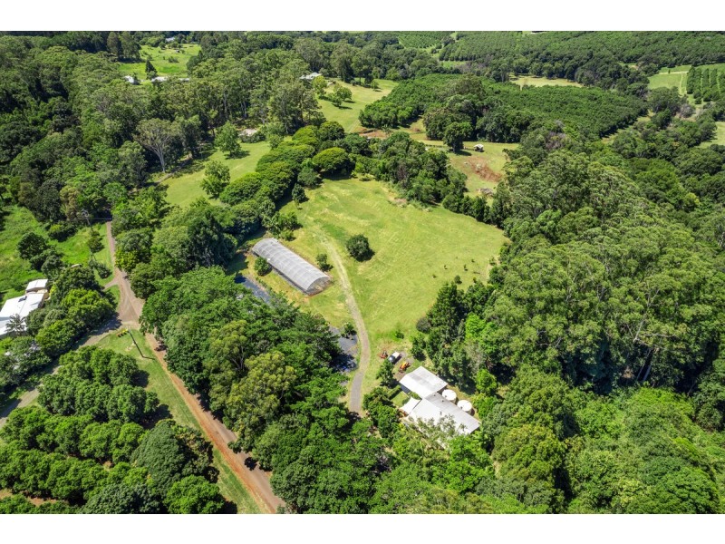407 Humpty Back Road, Pearces Creek NSW 2477