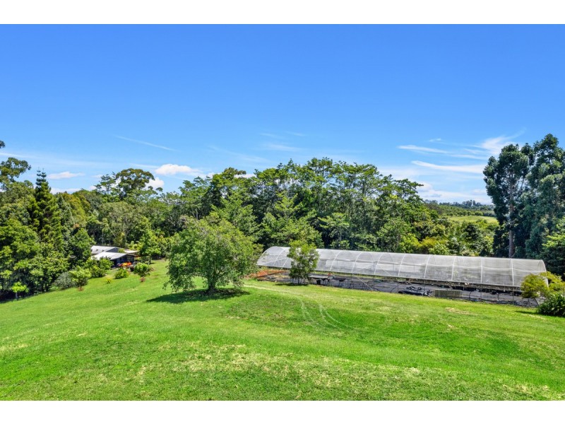 407 Humpty Back Road, Pearces Creek NSW 2477