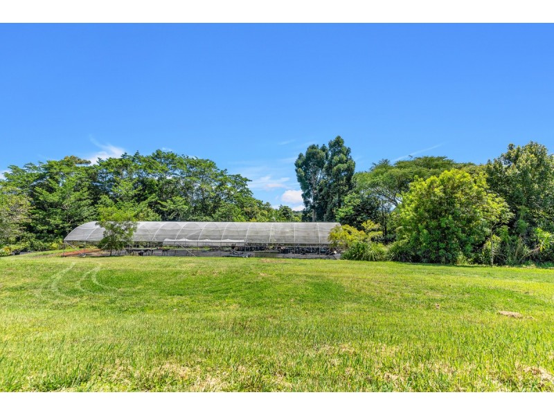 407 Humpty Back Road, Pearces Creek NSW 2477