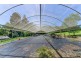 407 Humpty Back Road, Pearces Creek NSW 2477