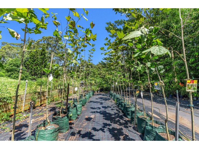 407 Humpty Back Road, Pearces Creek NSW 2477