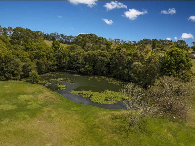 41 Sproule Drive, Alstonvale NSW 2477