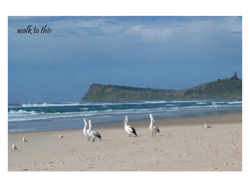 Lot 11 Aurora Place, Lennox Head NSW 2478