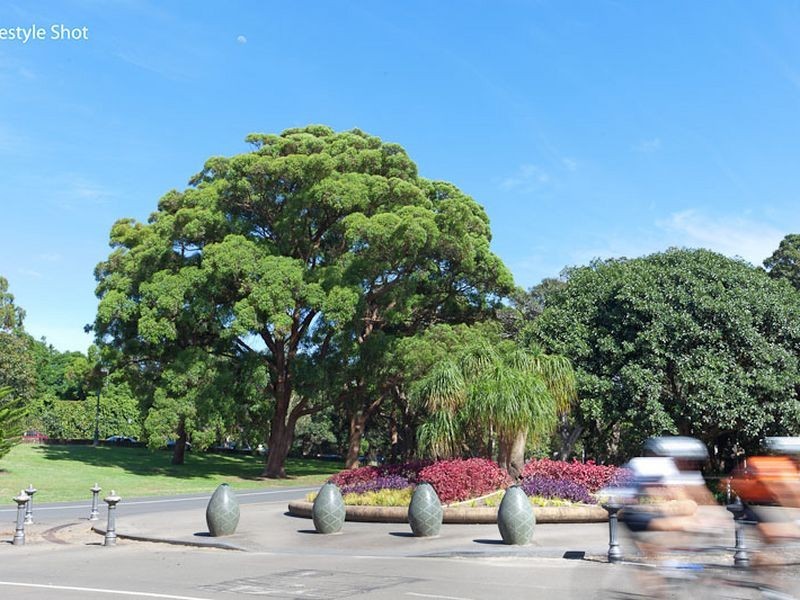 13/47-49 York Road, Queens Park NSW 2022