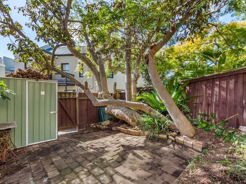 84 Jersey Road, Paddington NSW 2021