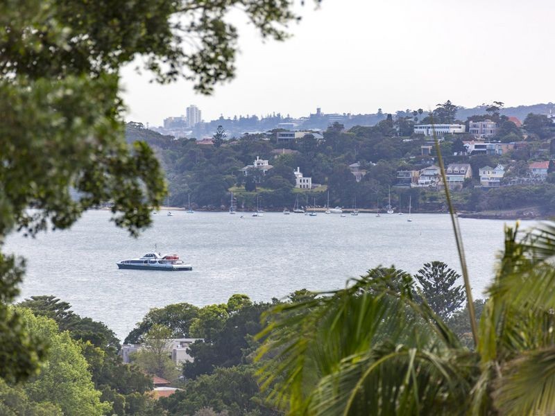 49 Drumalbyn Road, Bellevue Hill NSW 2023