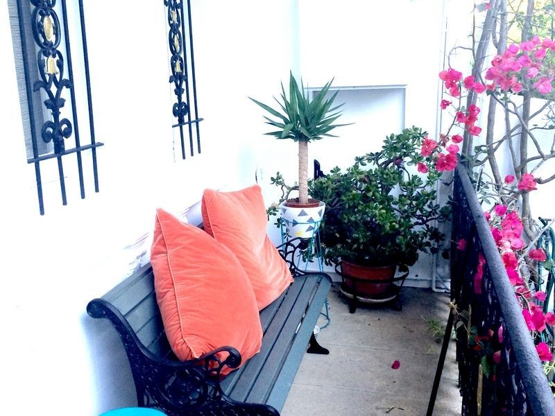 1/45 Windsor Street, Paddington NSW 2021