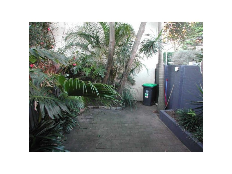 55 Cameron Street, Edgecliff NSW 2027