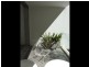 305/138 Barcom Ave, Rushcutters Bay NSW 2011