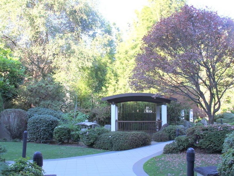 17/51 William Street, Double Bay NSW 2028