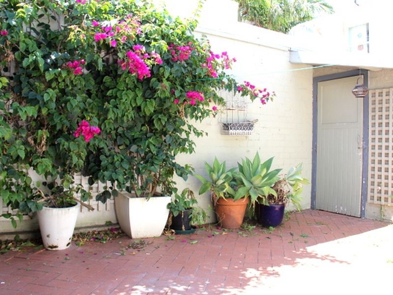 4 Albert Square, Paddington NSW 2021